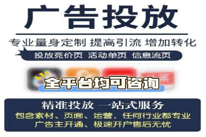 百度推广在电商行业的应用案例分析